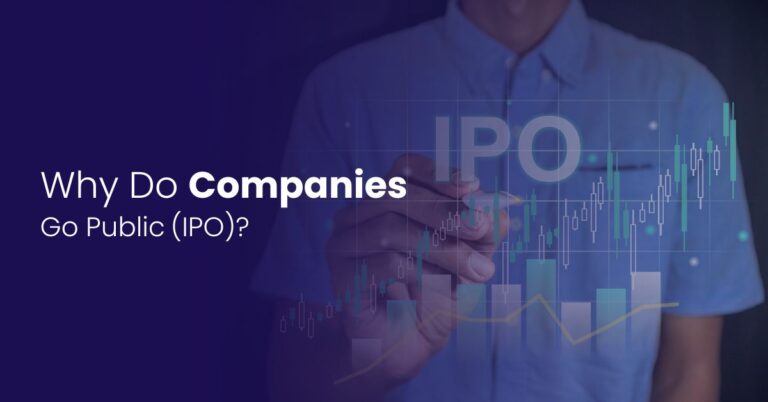 Why Do Companies Go Public